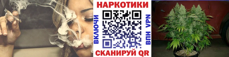 Бошки Шишки Ладушкин