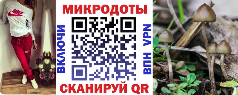 нарко площадка как зайти  купить   блэк спрут маркетплейс  Ладушкин  Псилоцибиновые грибы мухоморы 